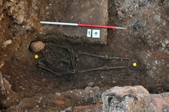 The king's remains in-situ in his grave shortly after their discovery in 2012.
